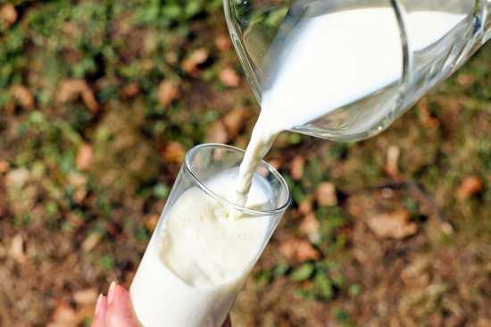 leche contra la artritis