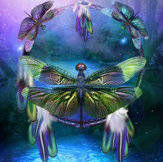 Tarot libelula Significado esotérico de la libélula amuletos Amuletos y hechizos Animales  