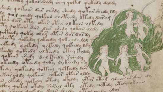 texto manuscrito Voynich