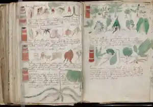 Los misterios del manuscrito Voynich